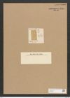 Mastogloia decora Lend.-Fortm. (de-Toni-Nr.: Genus 26, Species 1291) Zeichnungen Sammlung Grunow Nr. 2455 (NHMW-BOT-W0369626)